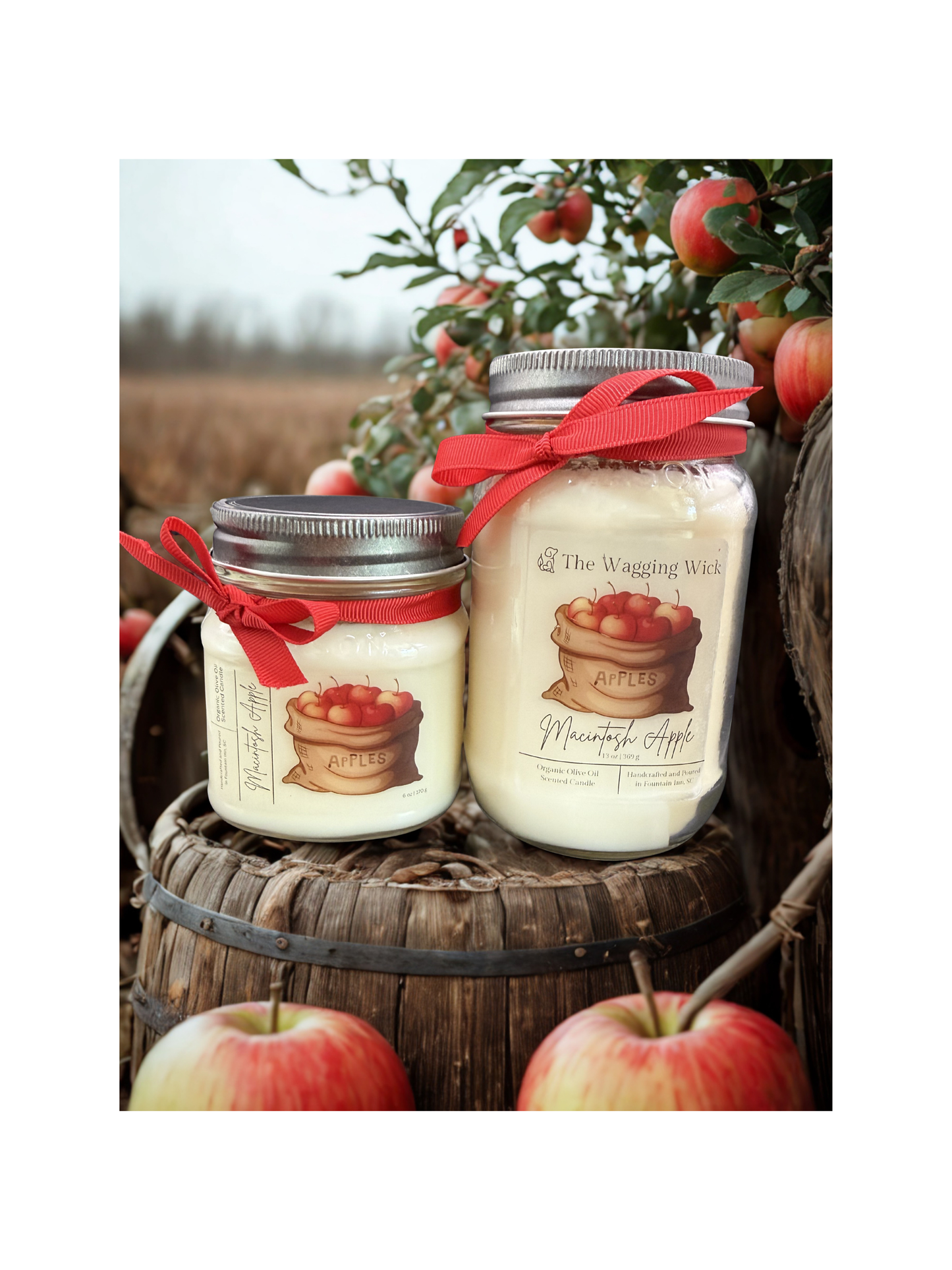 Macintosh Apple - 16 oz Mason Jar