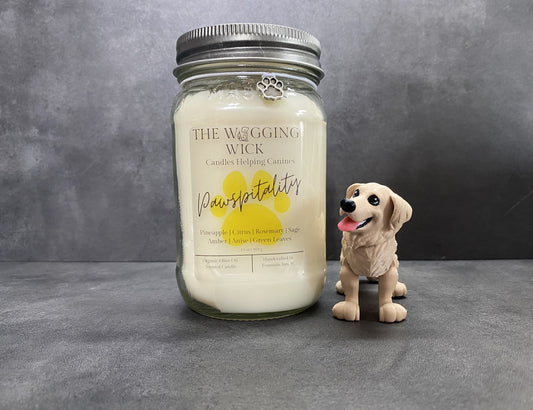 Pawspitality - 13 oz Organic Olive Oil Wax Candle